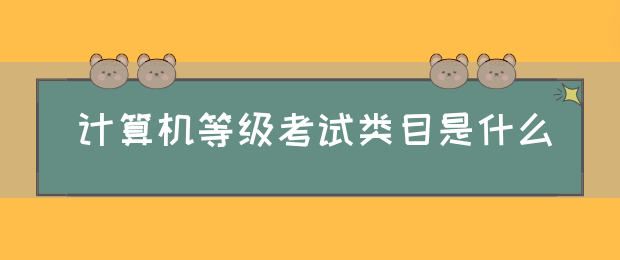 计算机等级考试类目是什么