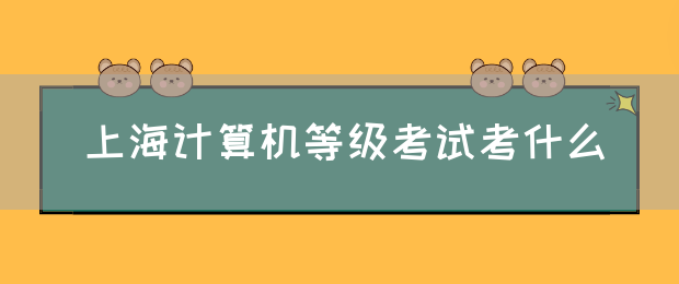 上海计算机等级考试考什么